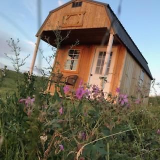 Montana Old West Cabins Affittacamere Babb Esterno foto