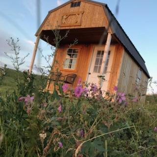 Montana Old West Cabins Affittacamere Babb Esterno foto